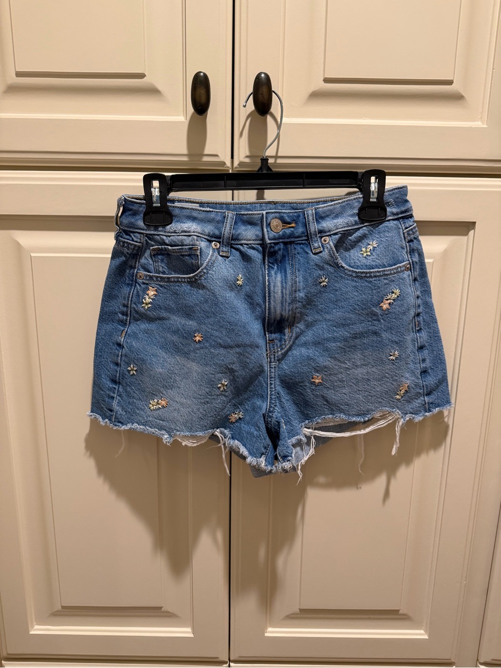 American Eagle Outfitters Light Blue Embroidered Denim Shorts